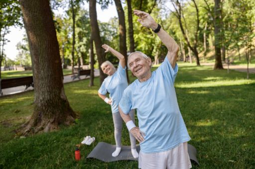 upper body exercises for seniors
