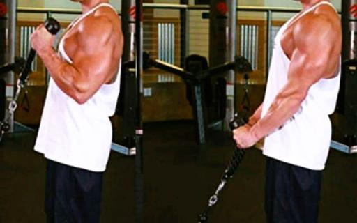 Cable Hammer Curls