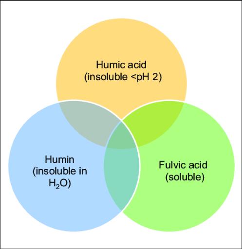 Humic acids
